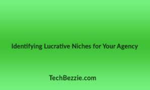 identify lucrative niches for your agency