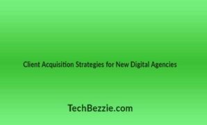 Client Acquisition Strategies for New Digital Agencies